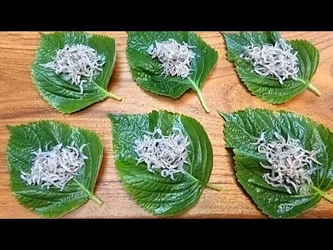 깻잎김치보다 10배 맛있는 깻잎멸치찜 '이것'이 포인트입니다