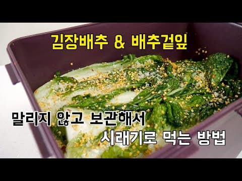 김장하고 남은 배추 말리지 않고~ 시래기로 먹는 방법