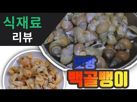 식재료 리뷰] 포항 백골뱅이 다양하게 맛있게 먹는법, 백골뱅이 삶는법, 백골뱅이탕,  백골뱅이 무침 [강쉪]