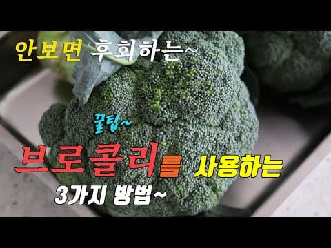 꿀팁 간단하고 맛있는 브로콜리 요리 3가지~ 추천 강쉪 korean food recipes, 3kind broccoli cooking recipes