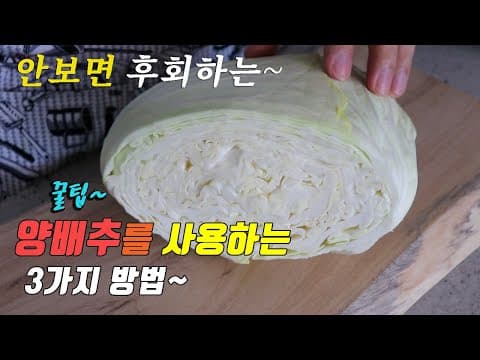 간단하고 맛있는 양배추 요리 3가지~ 강쉪^^ , 3 kinds of cabbage recipe, korea food recipe~