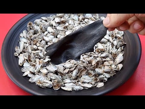 멸치 대가리 이젠 버리지마세요 요리도 과학입니다