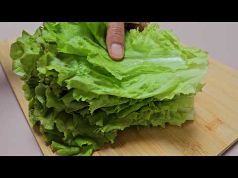 상추와 팽이버섯은 이렇게 만들어보세요!! 여름이면 금방 무르는 상추와 팽이버섯 활용하기 최고입니다👍