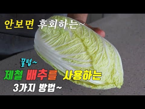 간단하고 맛있는 제철 배추요리 3가지~ 강쉪^^ korean food recipes, 3 kinds cabbage cooking recipes 배추생채 배추홍합짬뽕 배추삼겹살볶음
