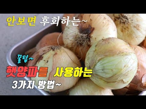 간단하고 맛있는 햇양파 요리 3가지~ 강쉪^^  3 kinds of onion recipe, korea food recipe~