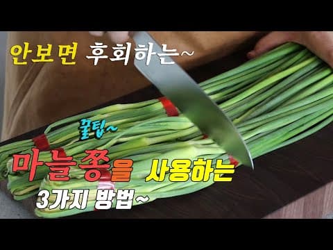 이렇게 만들면 후회없어요. 마늘쫑을 맛있게 먹는 3가지 방법 강쉪