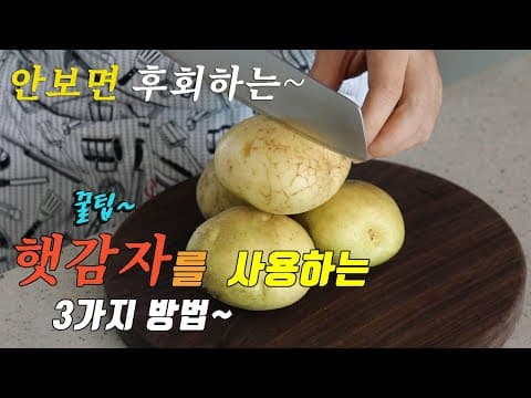 👍햇감자를 더 맛있게 먹을수 있는 꿀팁 3가지 강쉪😀