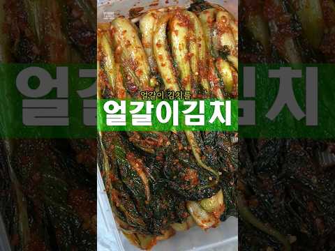 반찬가게 못지않다 얼갈이김치 레시피 #얼갈이 #김치 #레시피