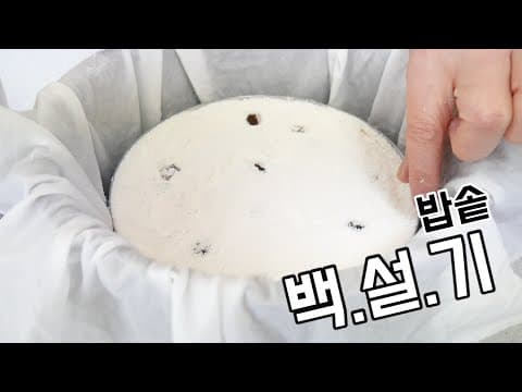 이제 백설기 집에서 밥솥으로 취사하세요.