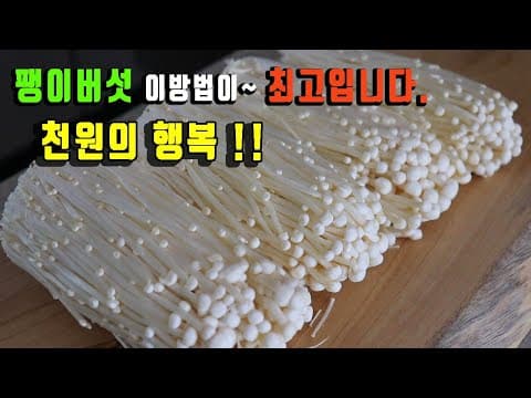 한끼뚝딱!! 천원으로 뱃살 빠지는 팽이버섯 요리 3가지 만들기 강쉪