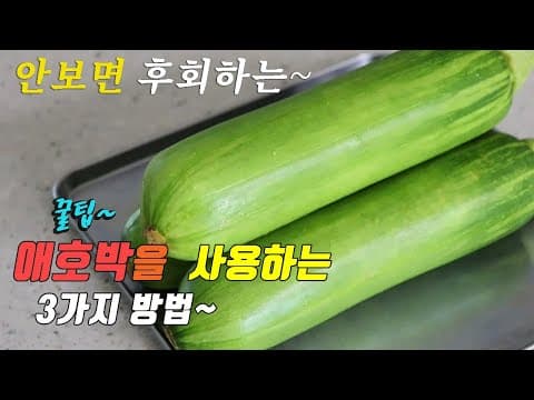 간단하고 맛있는 애호박 요리 3가지~ 강쉪^^  3 kinds of young pumpkin recipe, korea food recipe.