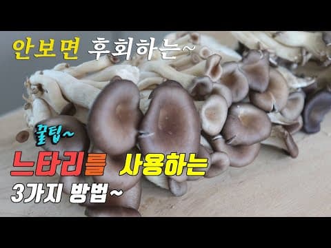 간단하고 맛있는 느타리 버섯 3가지 요리~ 3 kinds of oyster mushroom recipe, korea food recipe ~ [강쉪]