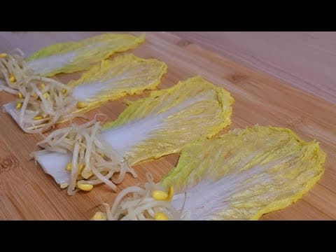 배추에 콩나물을 올려보세요🥬건강한 다이어트 한끼가 해결됩니다 (배추콩나물요리,배추다이어트요리)