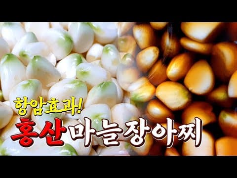 마늘장아찌 만들기 밥을부르는 레시피 홍산마늘 아시나요
