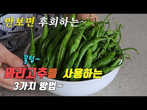 간단하고 맛있는 꽈리고추 요리 3가지~ 강쉪^^ korean food recipe, 3 kinds Shishito Peppers recipe
