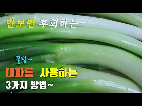 간단하고 맛있는 대파요리 3가지~ 3 kinds of  green onion cooking, korea food recipe [강쉪]