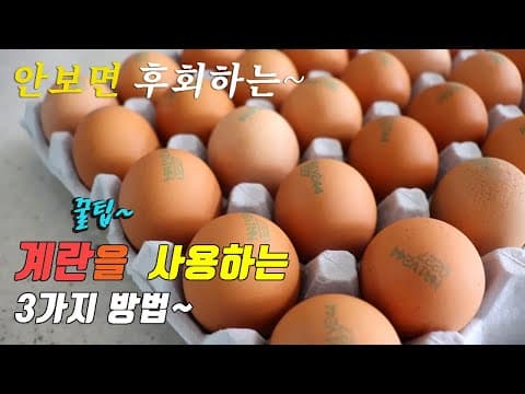계란으로 할수있는 간단하고 맛있는 3가지 요리~ 3 kinds of egg cooking recipe, korea food recipe~ [강쉪]