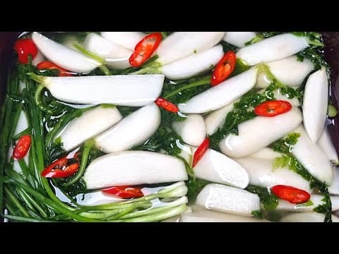 톡! 쏜다 천연사이다 초롱무 물김치 끝내주는 맛입니다