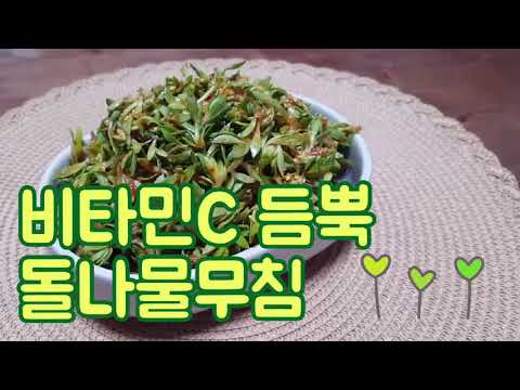 비타민 가득한 봄 돌나물 무침