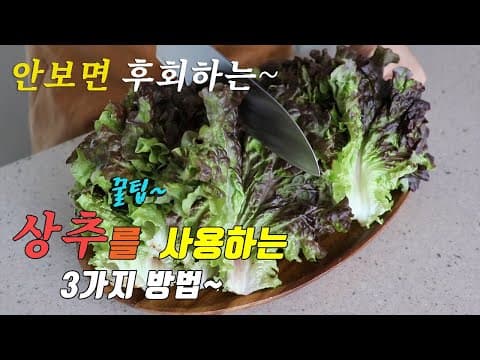 👍어렇게 만들면 후회없어요. 상추를 맛있게 먹는 3가지 방법 강쉪😀