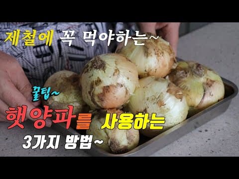 꿀팁 제철 추천!! 아삭하고 달큰한 햇양파 요리 3가지 강쉪