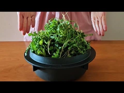 🍀냉이는 국이나 찌개에 넣지 말고 이렇게 드세요! 한번 먹어보면 자꾸 자꾸 손이가요🥇💯간단하고 맛있는 냉이요리 2가지