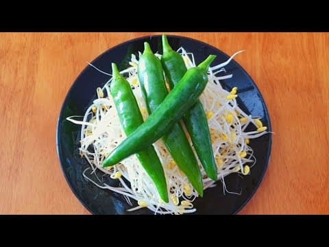 아직도 콩나물을 볶거나 무쳐서만 드세요? 이렇게 먹으면 너무 맛있어서 식구들이 오며가며 다 집어먹어요👍💯