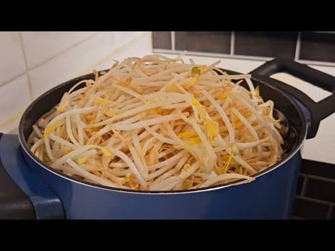 숙주를 쪄서 이렇게 먹으니 뱃살이 빠져요👍 밥대신 먹어도 든든한 한끼가 완성됩니다!! 숙주 듬뿍 묵은지 라이스페이퍼말이