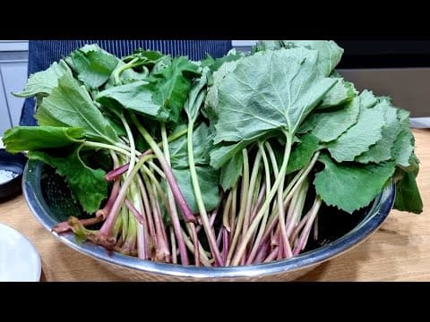 봄에 먹으면 "보약"입니다