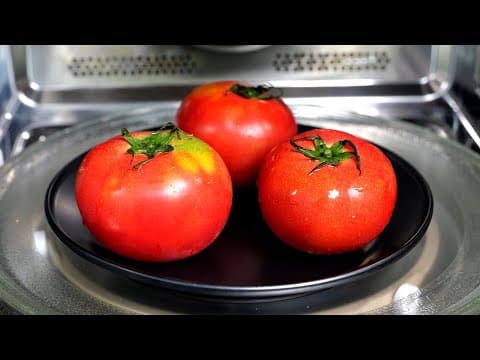 토마토를 전자렌지에 돌려보세요 깜짝 놀랄 맛입니다