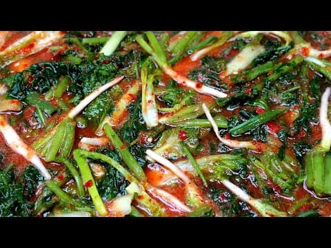 역대급 얼갈이 열무물김치 이 방법은 아무도 모릅니다