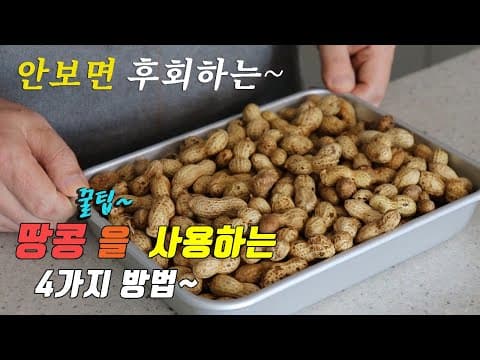 간단하고 맛있는 제철 땅콩 요리 4가지~ 강쉪^^ korean food recipes 3 kinds peanut cooking recipes 땅콩조림 땅콩죽 땅콩볶음 땅콩삶는법