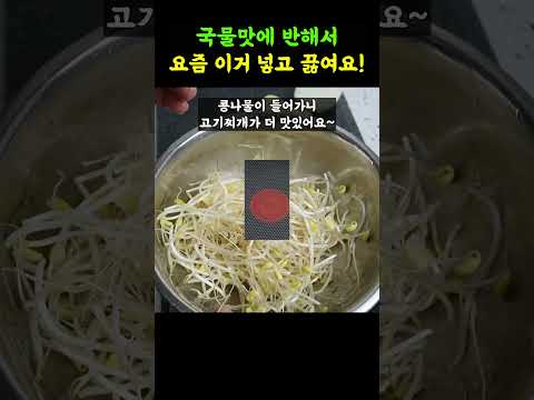 끓여주면 맛없다는 사람 본적없는 돼지고기 고추장찌개! 다른 반찬 필요가 없습니다.