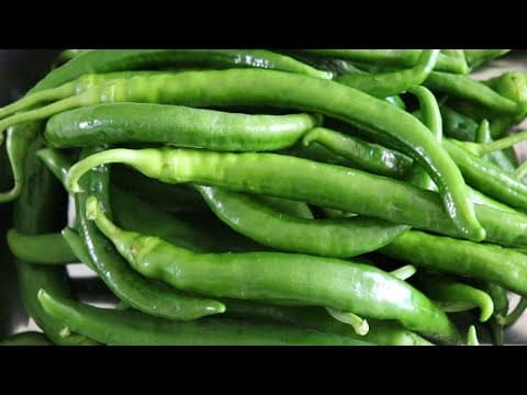 어떻게 이런걸~ 생각해냈을까? 👍 풋고추 요리 3가지 강쉪