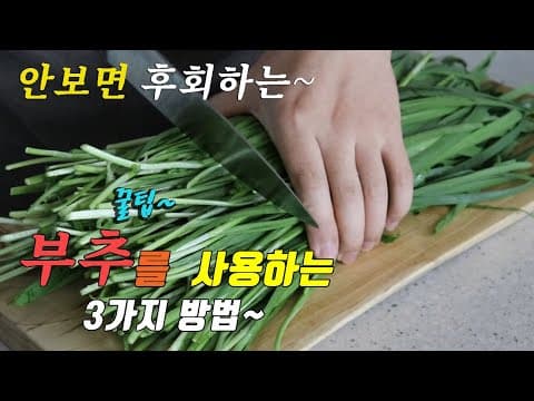 꿀팁 감사하고 맛있는 부추 요리 3가지~ 강쉪^^ korean food recipes, 3 kinds chives cooking recipes