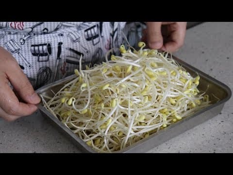 이 콩나물 레시피 물건입니다. 👍 가족들이 모두 감탄!!  콩나물 요리 3가지 강쉪