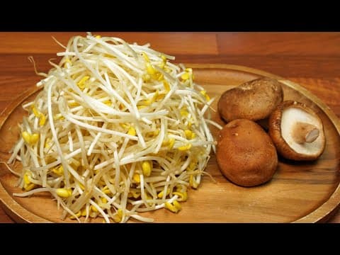 콩나물과 버섯을 이렇게 드세요! 먹을수록 살이 빠져요~ 아삭쫄깃 영양가득 초간단 콩나물 요리