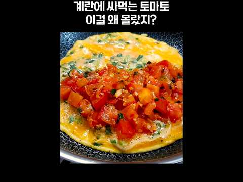 토마토 계란 매일 이렇게 드세요! 뱃살,혈당 잡는 최고의 아침식사