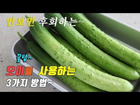 간단하고 맛있는 오이 요리 3가지~  3 kinds of cucumber recipe, korea food recipe [강쉪]