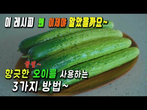 제발^^ 오이소박이~ 그만 만드시고 요거 한번 만들어보세요.👍 강쉪