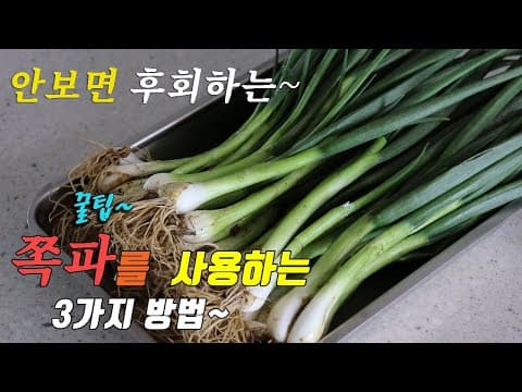 쪽파로 이런 요리 만들어보세요. 강쉪