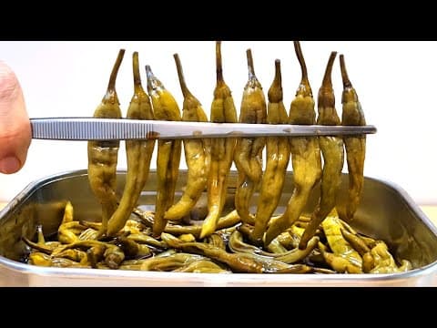 꽈리고추가 이렇게 맛있는 장아찌가 되다니 놀랍습니다