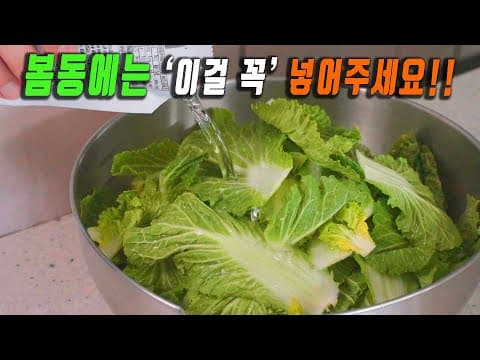 봄동을 사왔습니다. 👍묵은김치는 가고 밥도둑이 찾아왔습니다. 강쉪.