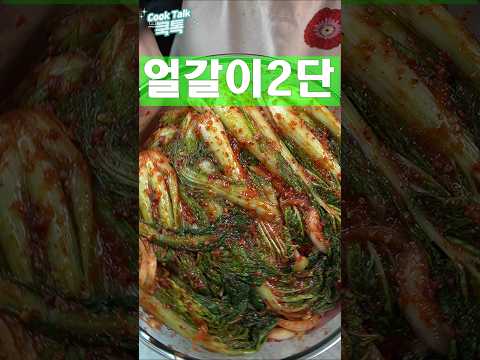 앉은 그자리에서 1단은 먹은것 같습니다 #얼갈이 #김치 #레시피