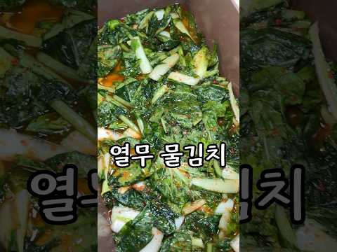 시원하고 개운한 열무물김치 레시피