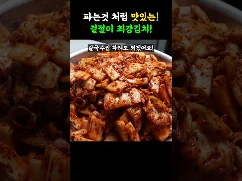 겉절이 김치 1티어.