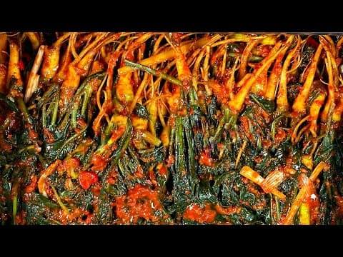 가을김치 고들빼기 쓴맛 "이것" 넣어 잡아요❗매콤 쌉싸름한 고들빼기김치 담그는 방법 #kimchi