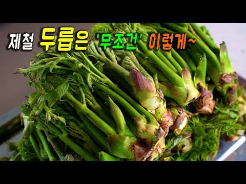 제철 두릅은 "이 방법이" 최고입니다.👍 한번 먹으면 손을 멈출수없는 두릅 요리 3가지  강쉪