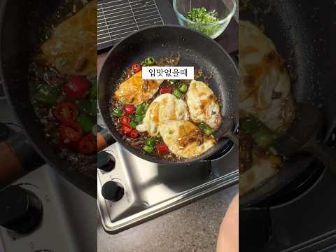 오늘 저녁은 이거다!!!! #shorts