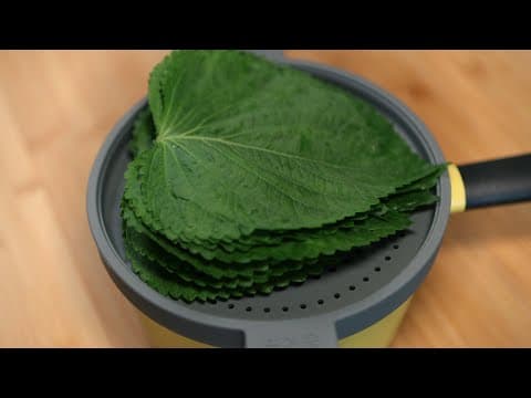 깻잎을 따로 먹기 귀찮아 이렇게 만들었더니 더 맛있어요! 순식간에 사라지는 새로운 깻잎 요리